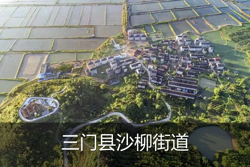 三门县沙柳街道